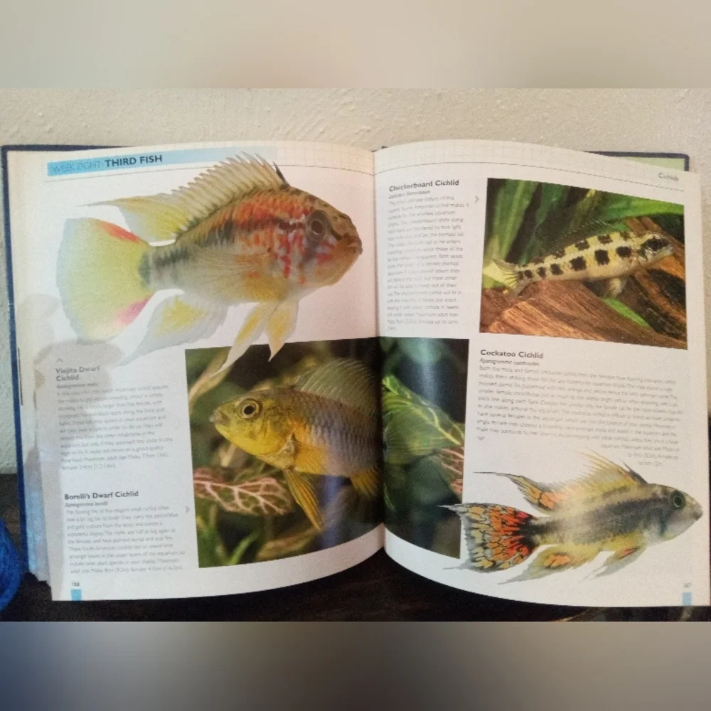 🐡Aquariums For Dummies & 12-Week Tropical Fish Tank Set Up Guide Book Bundle 🐟